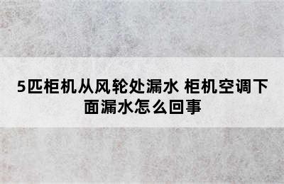 5匹柜机从风轮处漏水 柜机空调下面漏水怎么回事